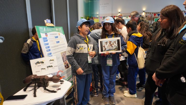 Más de 600 estudiantes destacan con proyectos de ciencias en la región de Valparaíso