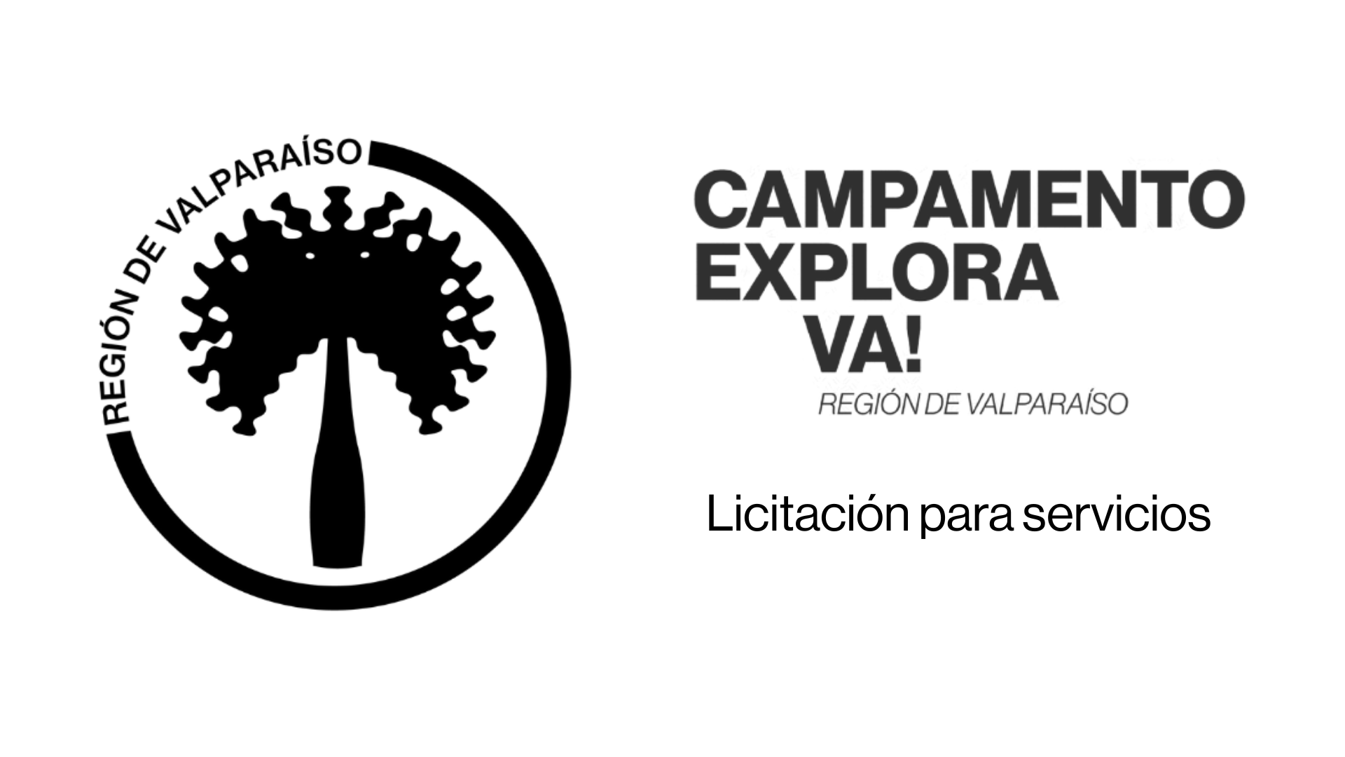Resultados licitación Campamento Explora VA! 2026 de Explora Valparaíso