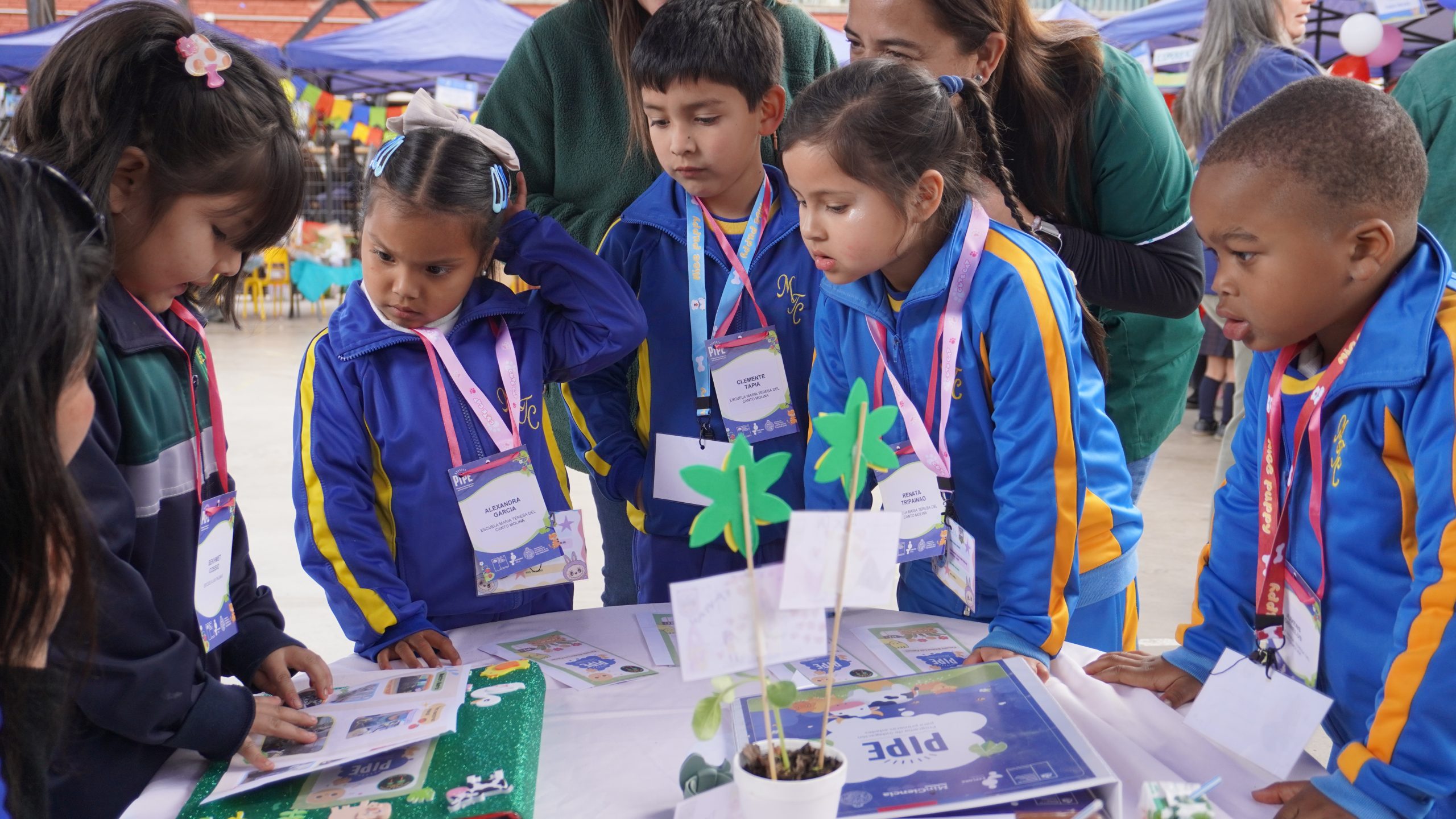 PIPE 2026 abre convocatoria para Nivel Sala Cuna en la Región de Valparaíso