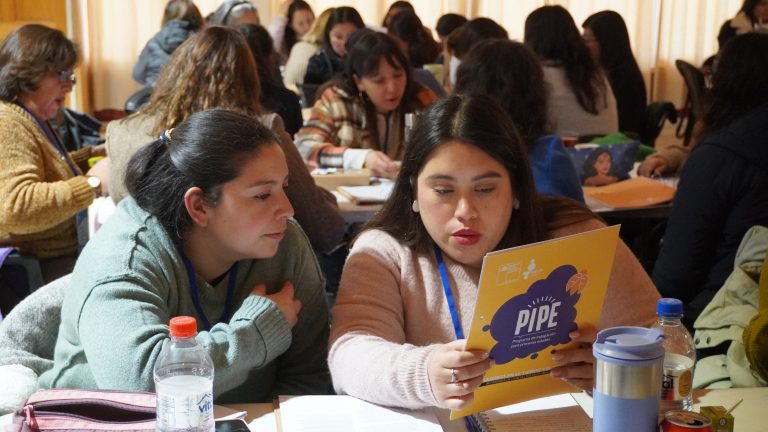 Programa PIPE fortalece su implementación regional a través de jornadas sobre buenas prácticas