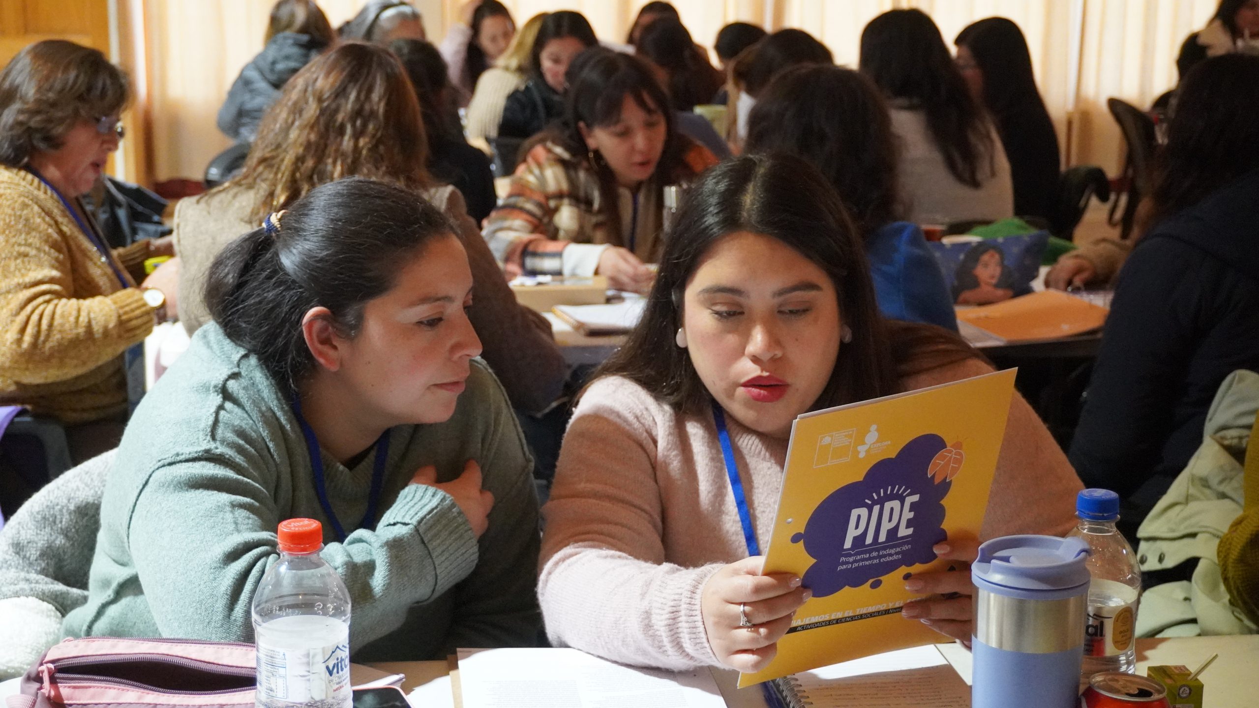 Programa PIPE fortalece su implementación regional a través de jornadas sobre buenas prácticas